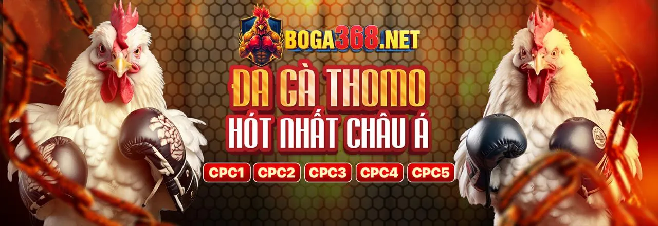 Tin tức Cộng đồng 88bet
