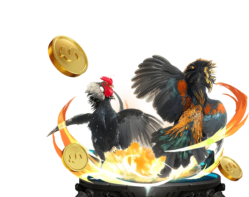 Cộng đồng Hiphop kết nối